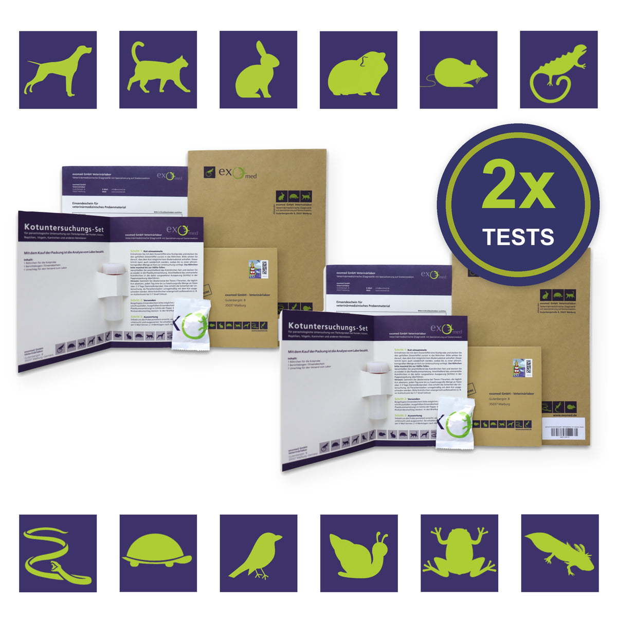 2er-Set Kotuntersuchung – zwei Testkits mit Einsendeschein und Versandumschlag