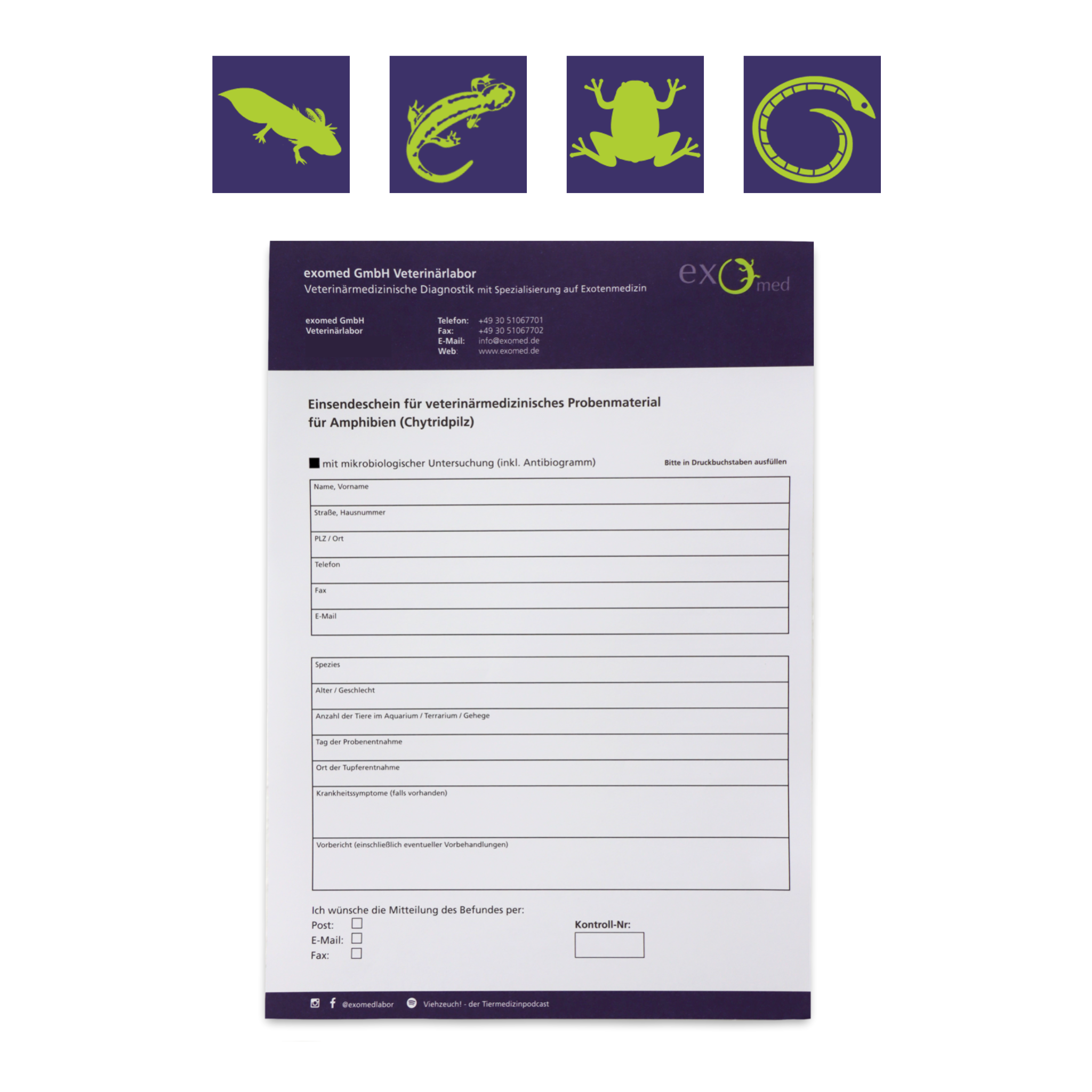 Einfache Kotuntersuchung beim Haustier von zu Hause aus mit exomed: Das Set enthält alles, was Sie für die Probenentnahme benötigen: Das notwendige Zubehör sowie eine ausführliche Anleitung, wie und wann eine Untersuchung gemacht werden sollte.