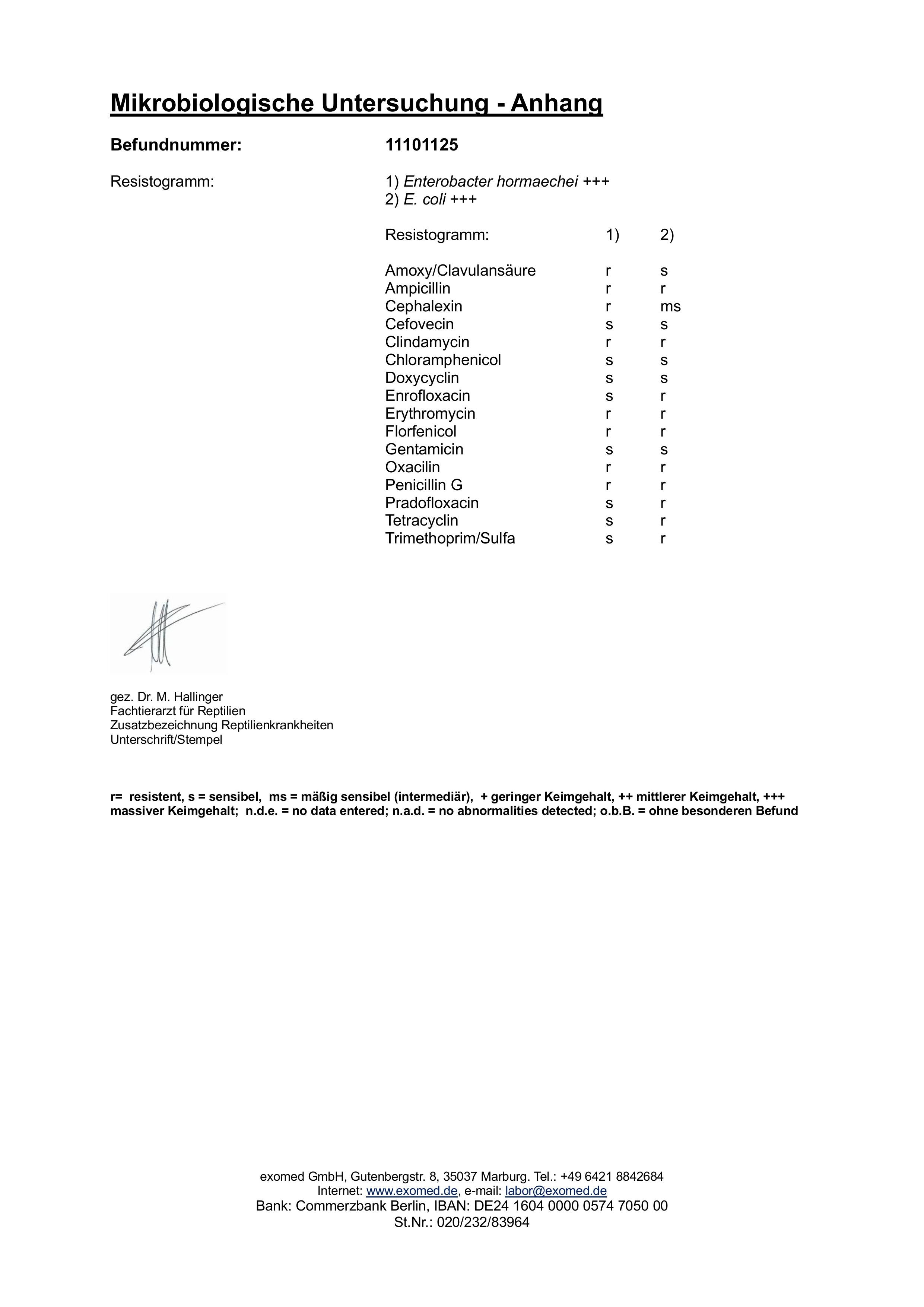 Umfassende Kotuntersuchung für Kleinsäuger – spezialisiertes Laborprofil