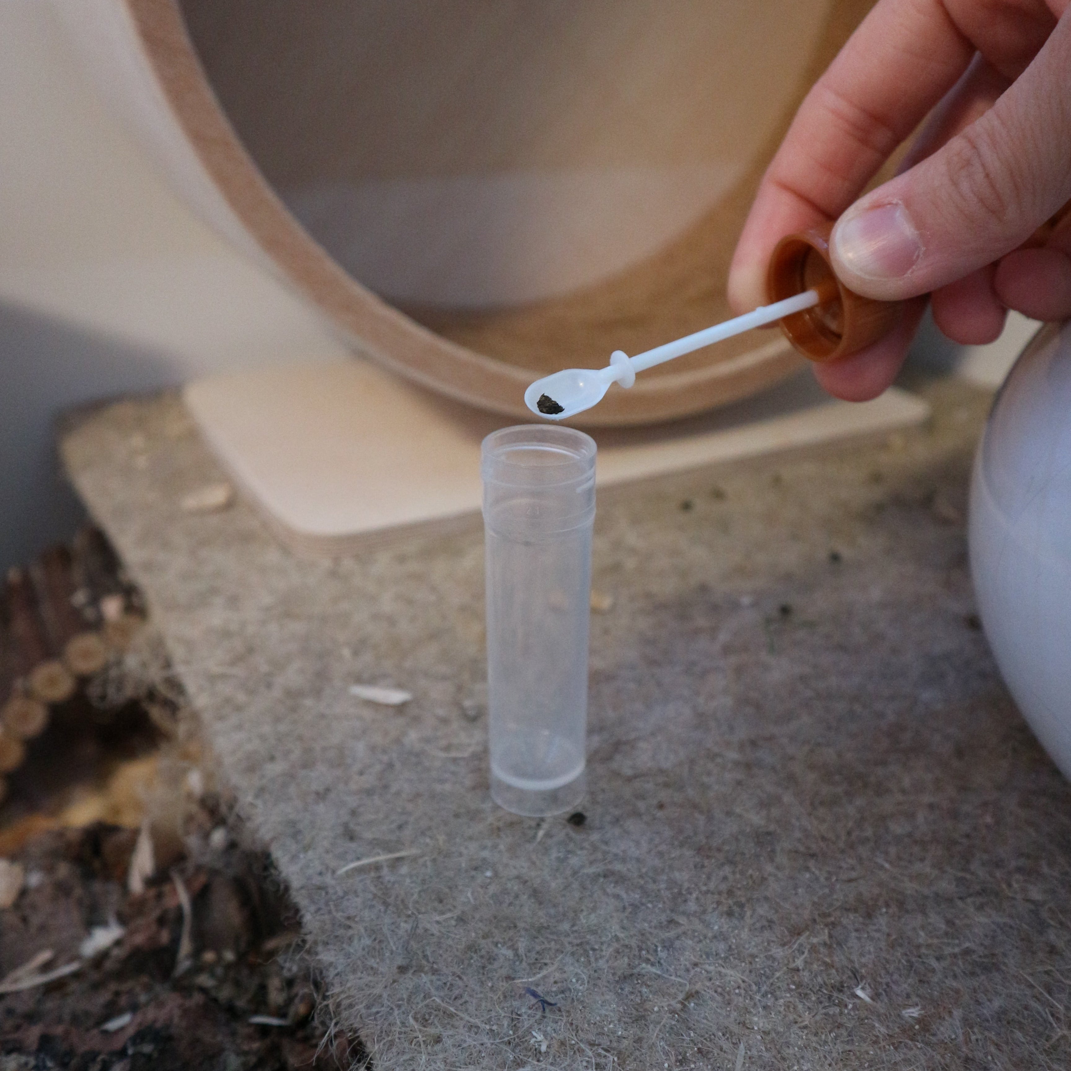 Kotuntersuchung – Basis-Test auf Darmparasiten