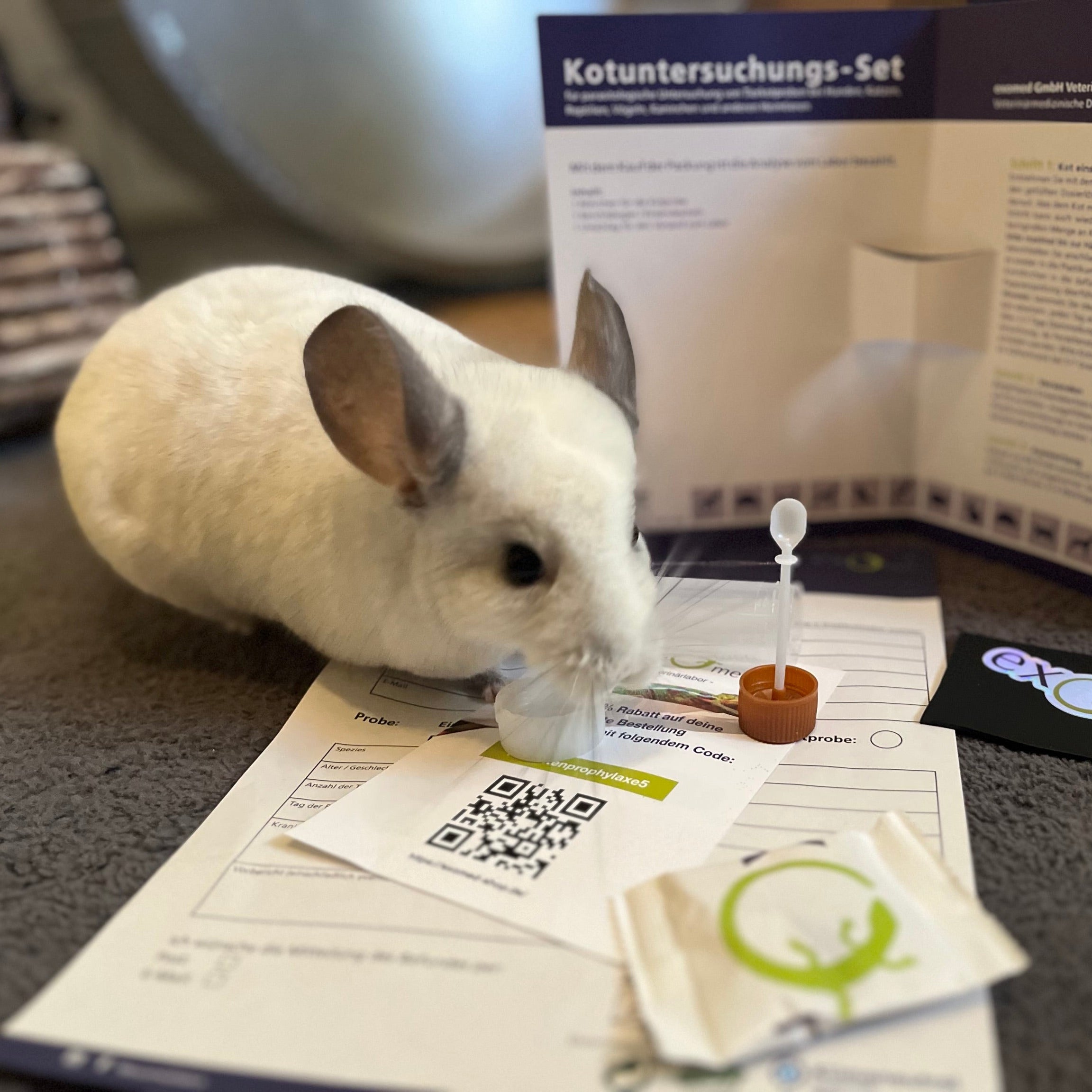 Kotuntersuchung für Tiere – Diagnostik von Giardien und Darmparasiten (Durchfall etc.)