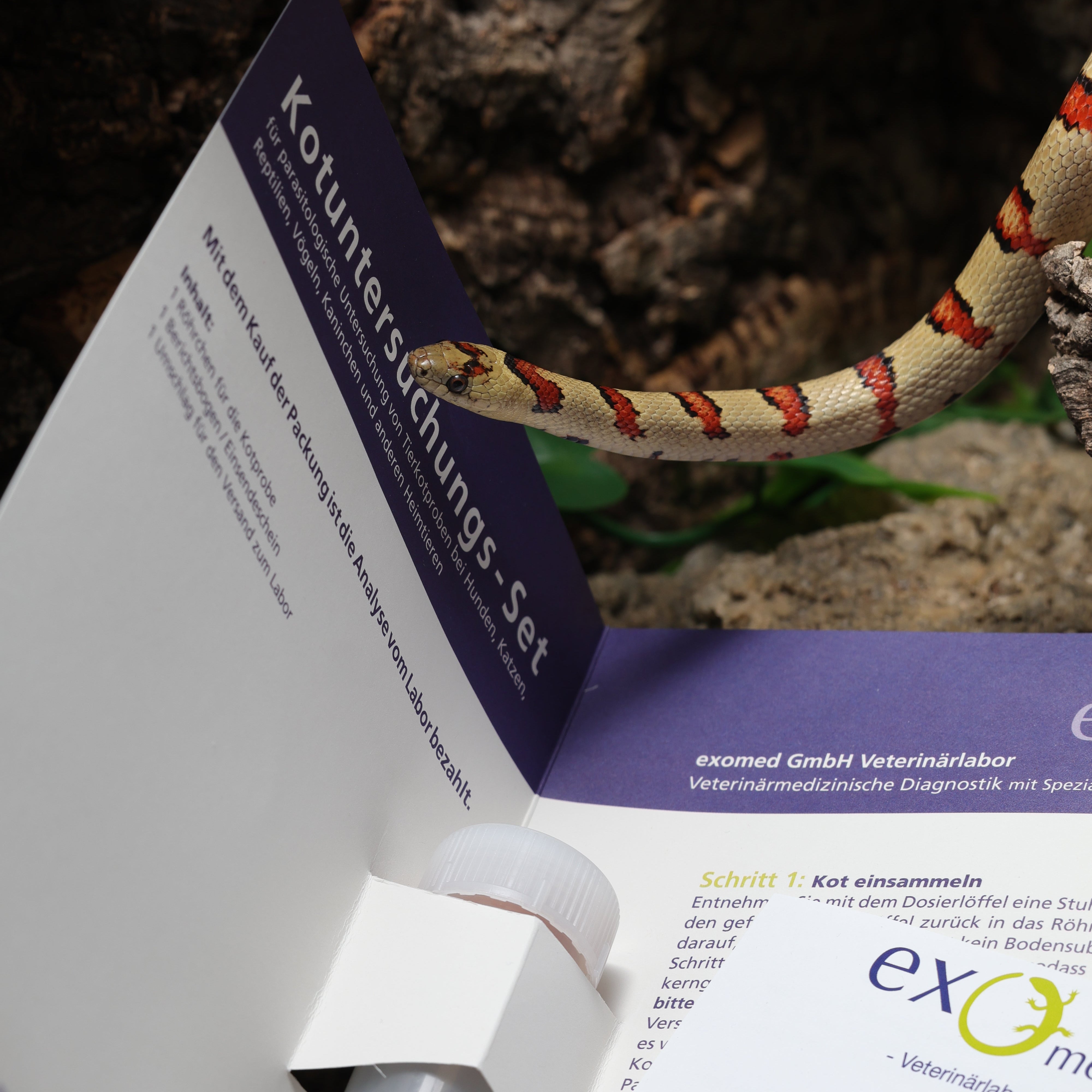 Kotuntersuchung für Reptilien – Umfassendes Profil für sichere Diagnostik