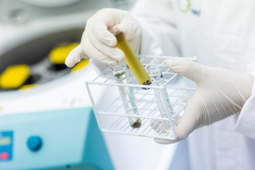 Testkits für Parasiten-Nachweise bestellen