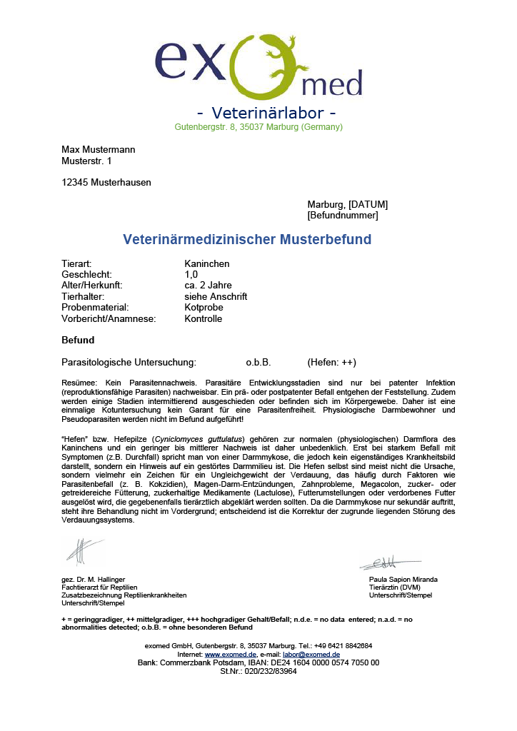Umfassende Kotuntersuchung für Kleinsäuger – spezialisiertes Laborprofil