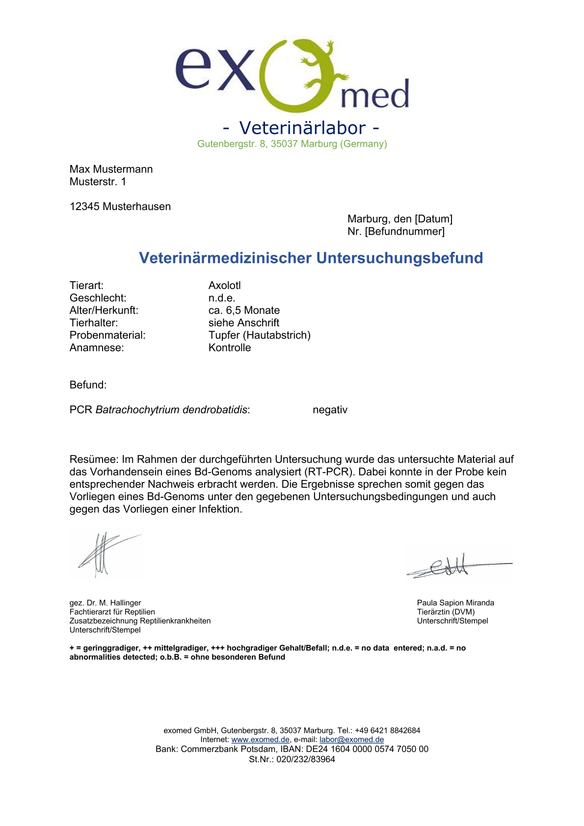 Chytridpilz (BD) bei Amphibien erkennen – sicherer Labortest für Zuhause