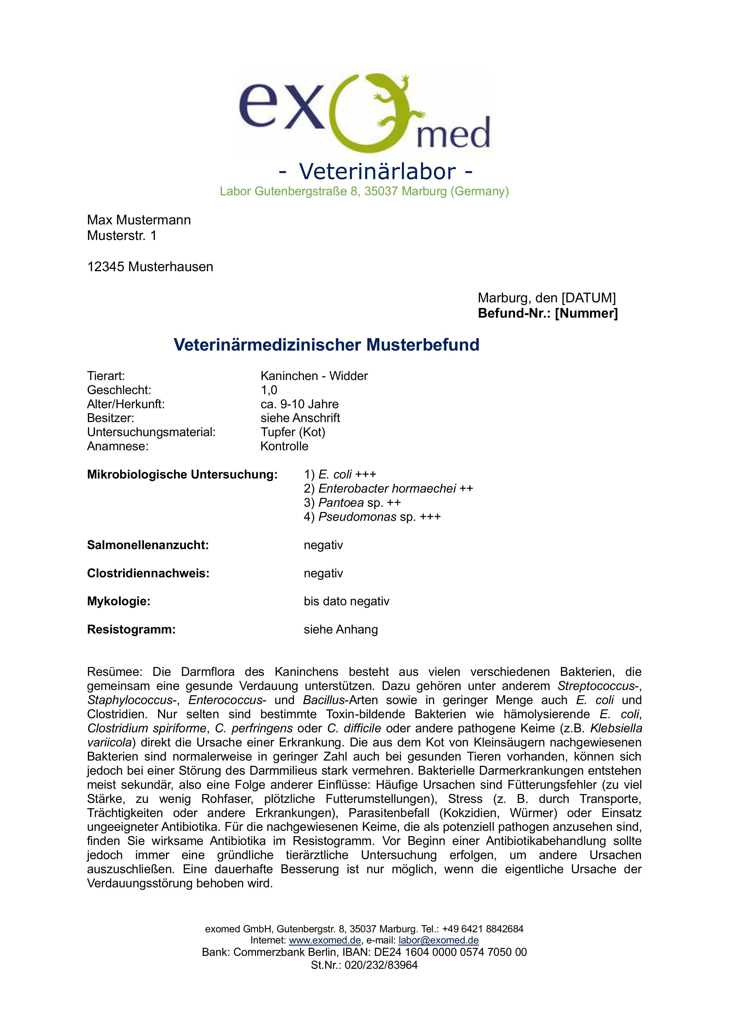 Umfassende Kotuntersuchung für Kleinsäuger – spezialisiertes Laborprofil