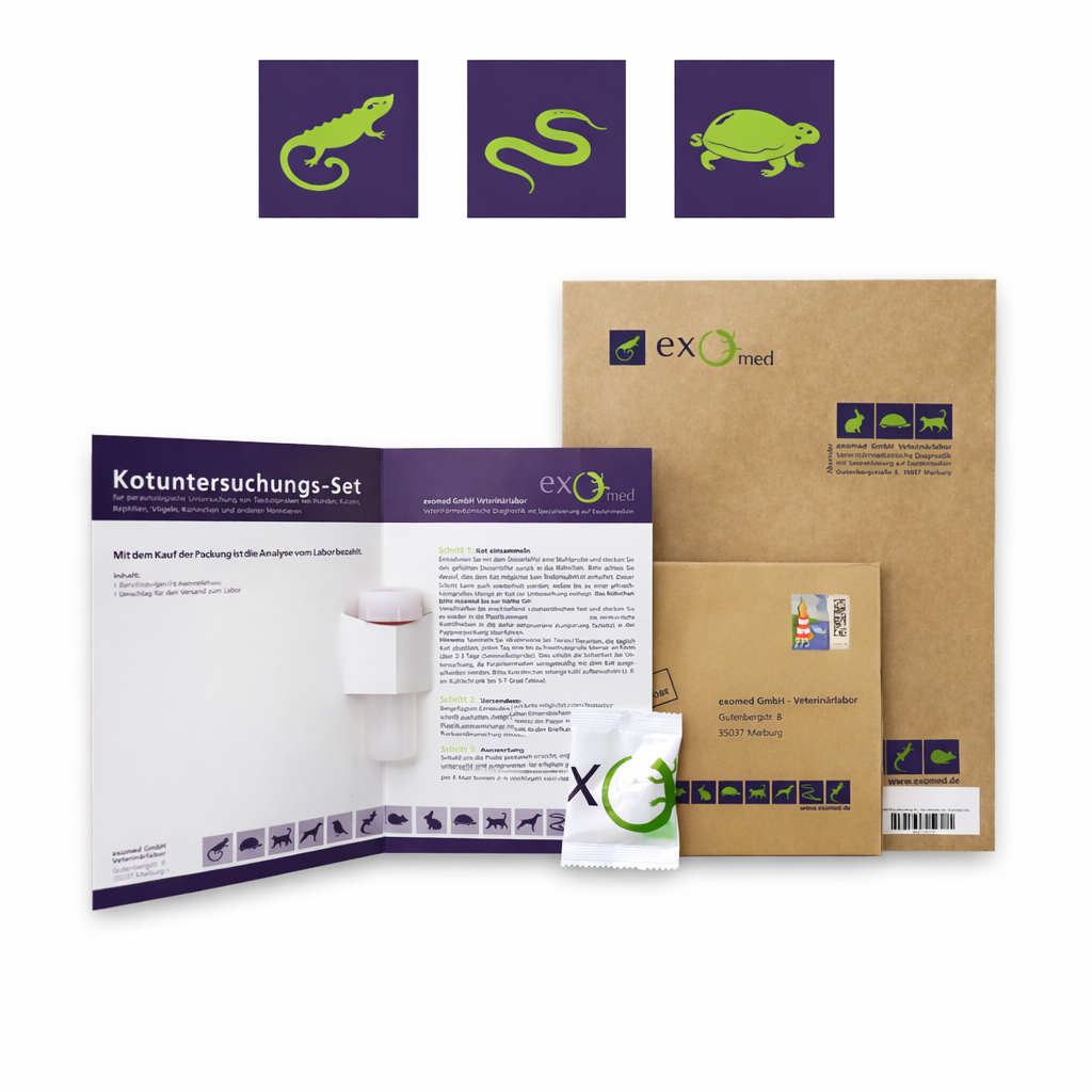 Kotuntersuchung für Reptilien – Umfassendes Profil für sichere Diagnostik