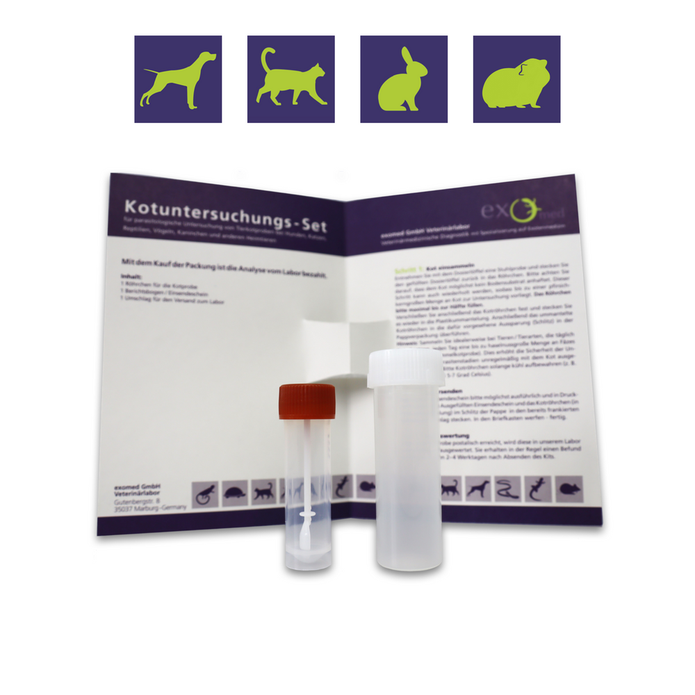 Kotuntersuchung für Tiere – Diagnostik von Giardien und Darmparasiten