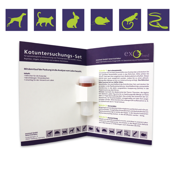 Kotuntersuchung für Tiere – erweiterte Analyse inkl. Kryptosporidien
