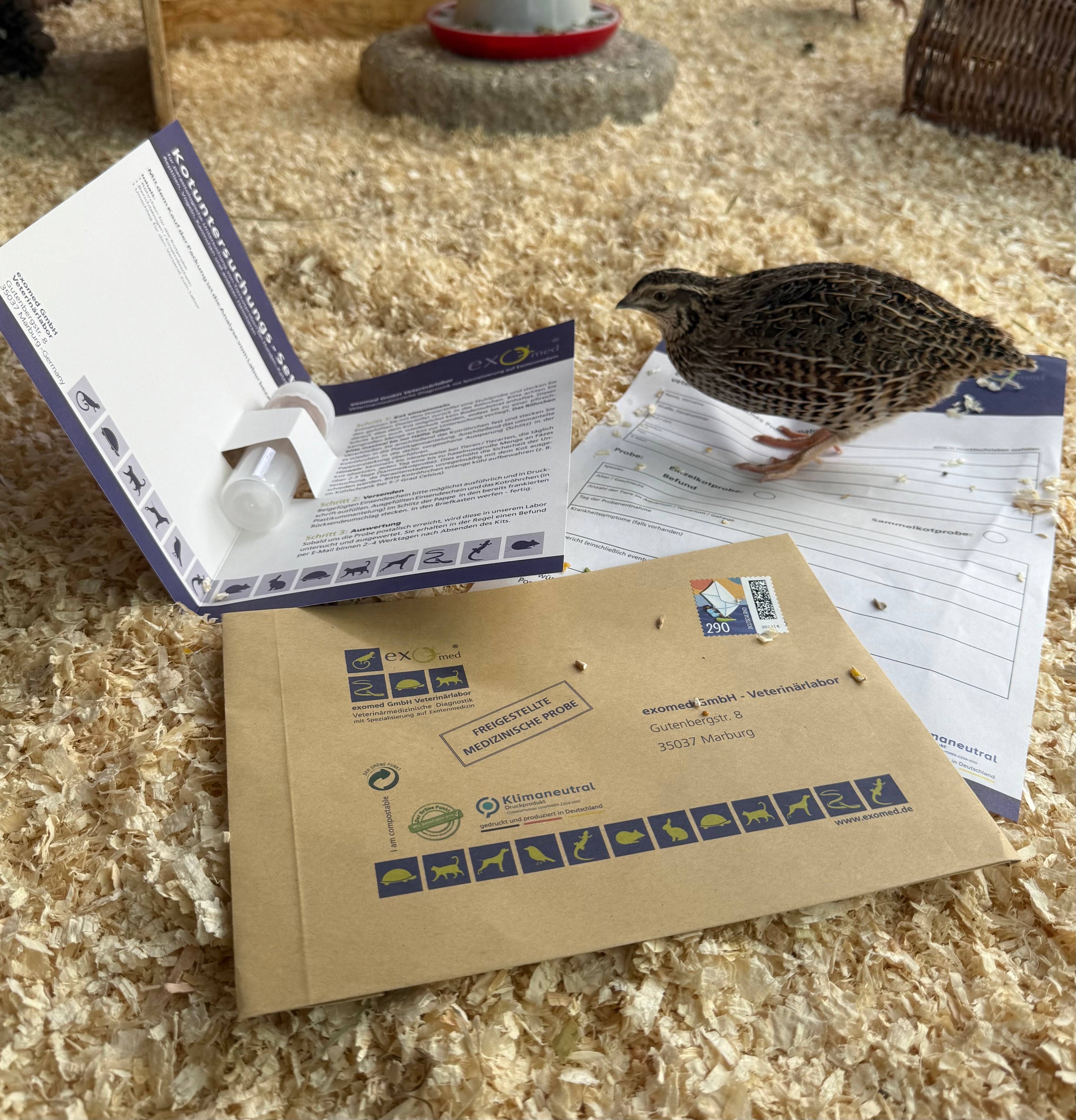 Kotuntersuchung – Basis-Test auf Darmparasiten