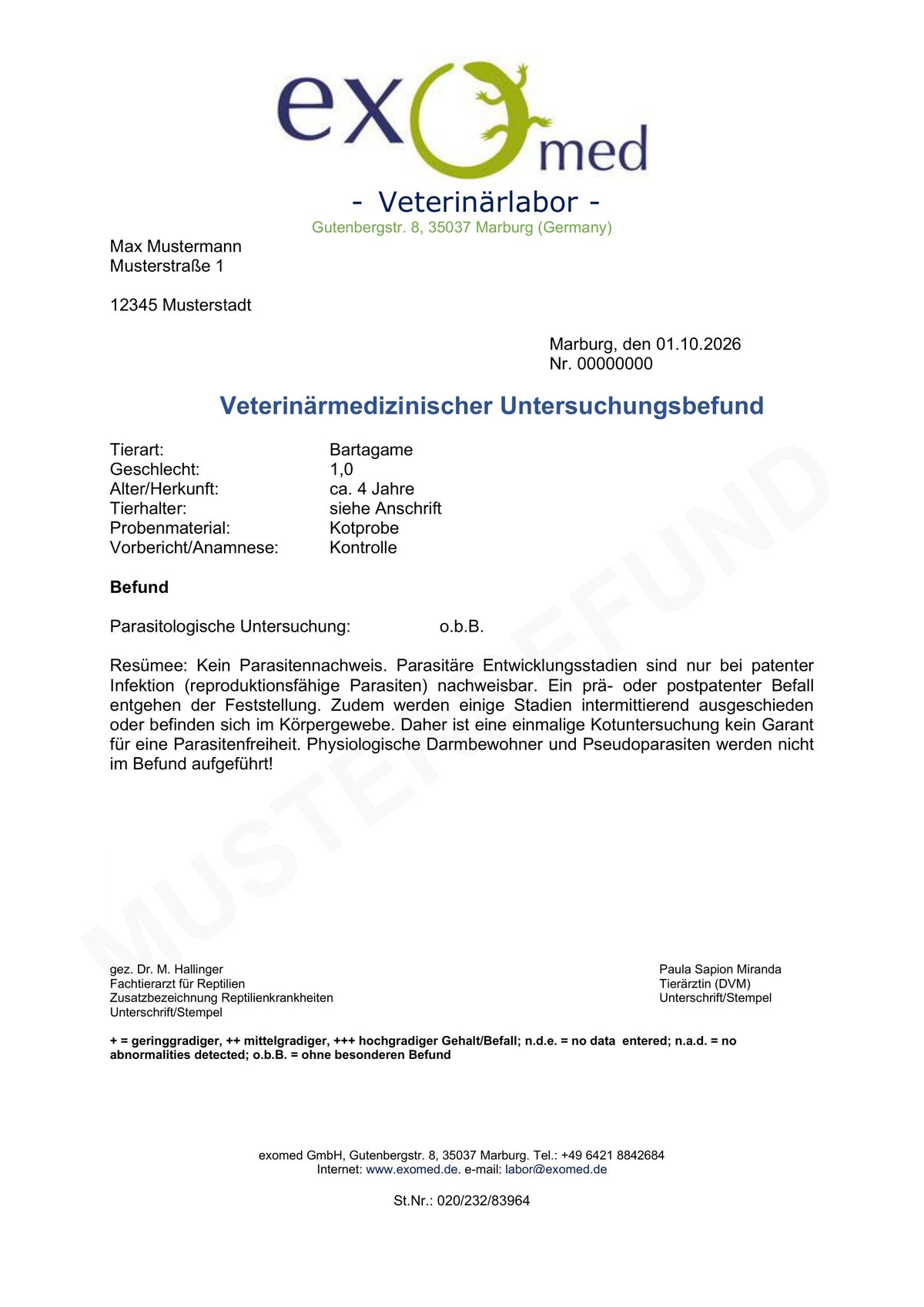 Musterbefund Kotuntersuchung – Beispiel ohne Parasitennachweis